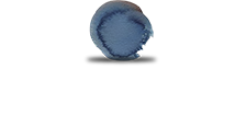 Terrace Dental Group